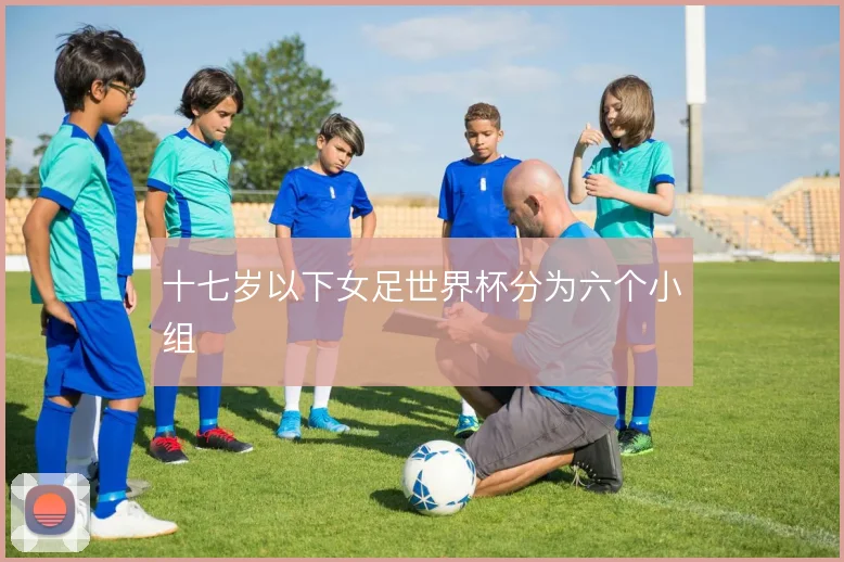 十七岁以下女足世界杯分为六个小组